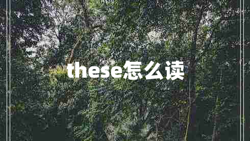 these怎么讀