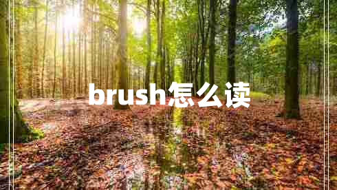 brush怎么讀