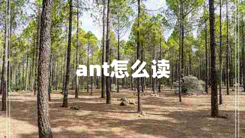 ant怎么讀