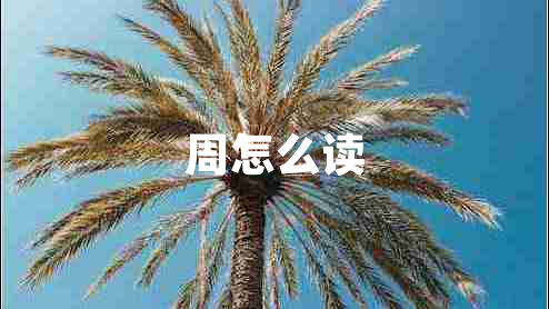 周怎么讀