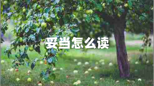 妥當(dāng)怎么讀