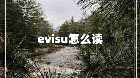 evisu怎么讀