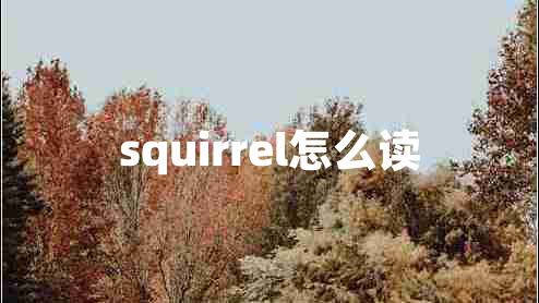 squirrel怎么讀