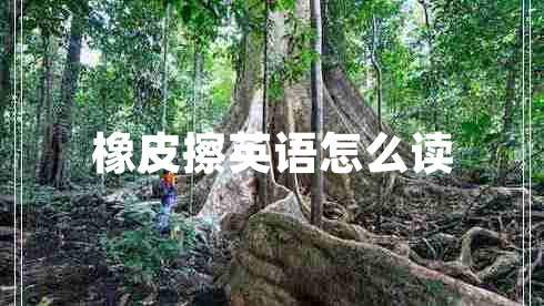 橡皮擦英語怎么讀 橡皮擦英語怎么讀