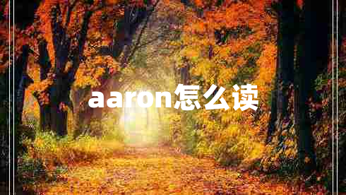 aaron怎么讀