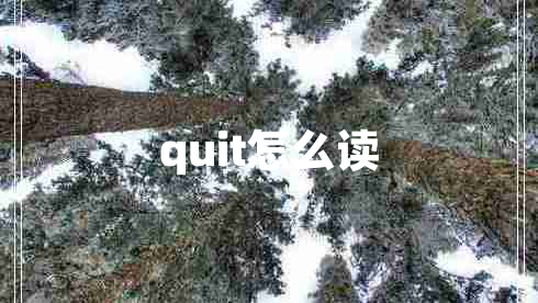 quit怎么讀