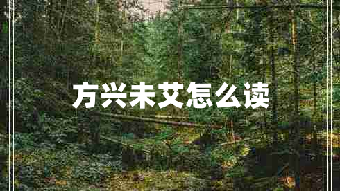 方興未艾怎么讀 方興未艾怎么讀