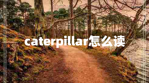 caterpillar怎么讀