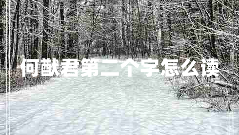 何猷君第二個(gè)字怎么讀