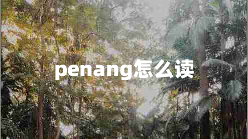 penang怎么讀