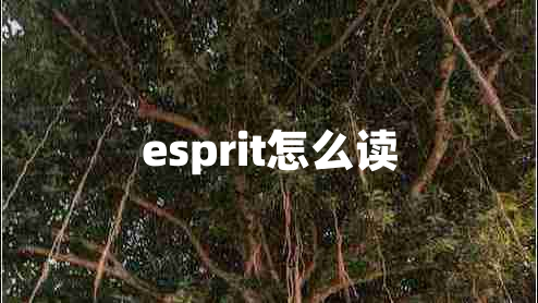 esprit怎么讀