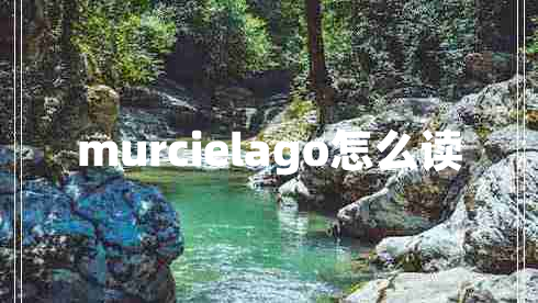 murcielago怎么讀