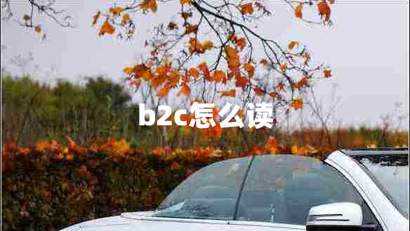 b2c怎么讀 b2c怎么讀