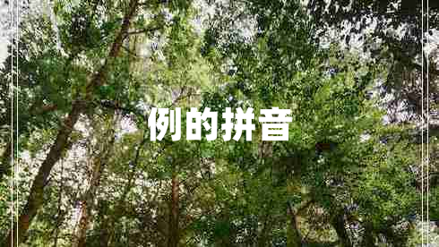 例的拼音 例的拼音