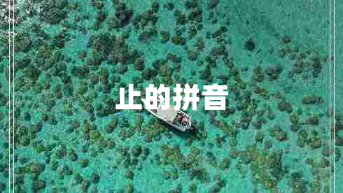 止的拼音 止的拼音