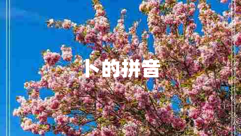 卜的拼音 卜的拼音