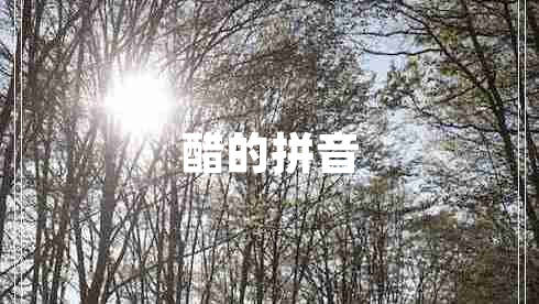 醋的拼音 醋的拼音