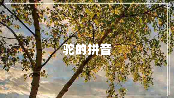 駝的拼音 駝的拼音