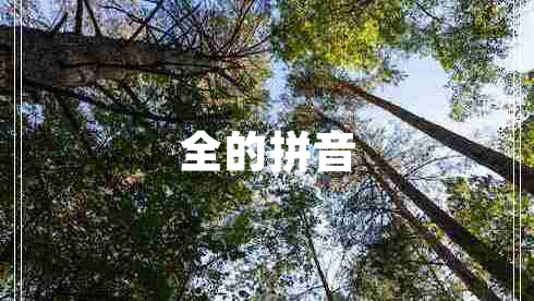 全的拼音 全的拼音