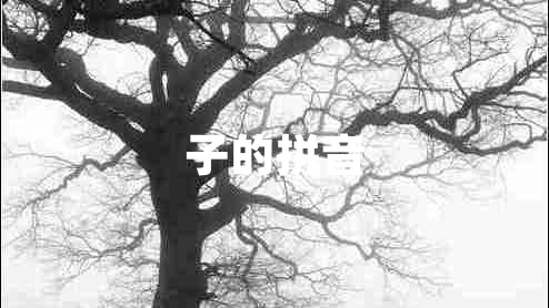 子的拼音 子的拼音