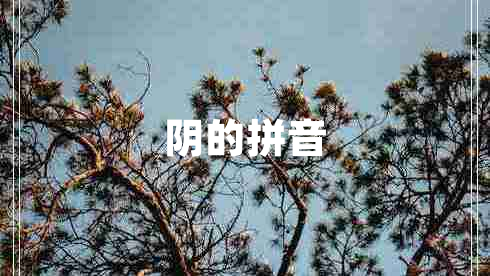 陰的拼音 陰的拼音