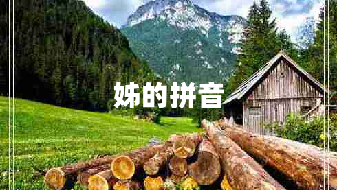 姊的拼音 姊的拼音