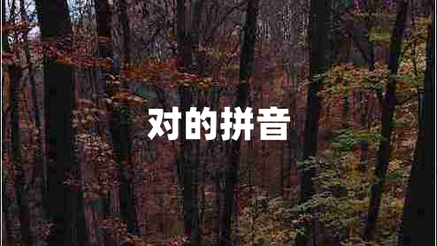 對(duì)的拼音 對(duì)的拼音