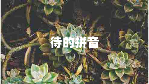 待的拼音 待的拼音