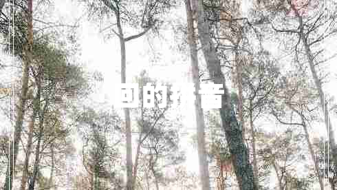 回的拼音 回的拼音