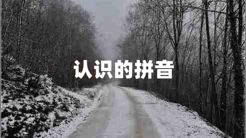 認(rèn)識(shí)的拼音