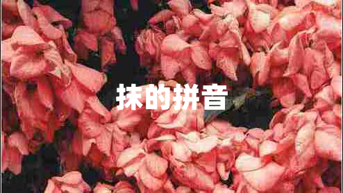 抹的拼音 抹的拼音