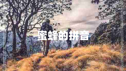 蜜蜂的拼音 蜜蜂的拼音