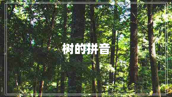 樹(shù)的拼音