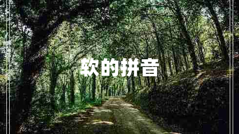 軟的拼音 軟的拼音