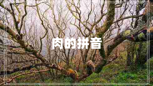 肉的拼音