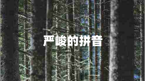 嚴(yán)峻的拼音