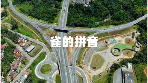 雀的拼音 雀的拼音