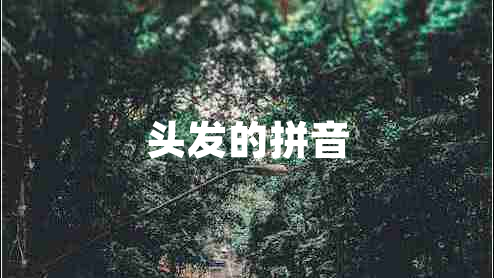 頭發(fā)的拼音
