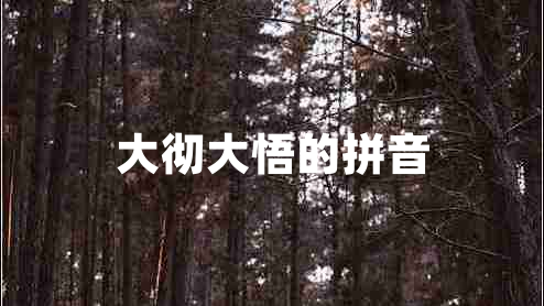 大徹大悟的拼音