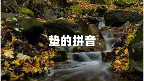 墊的拼音 墊的拼音