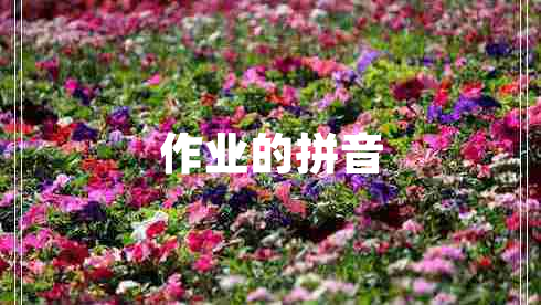 作業(yè)的拼音 作業(yè)的拼音