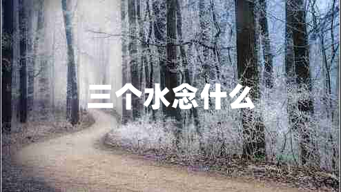 三個水念什么