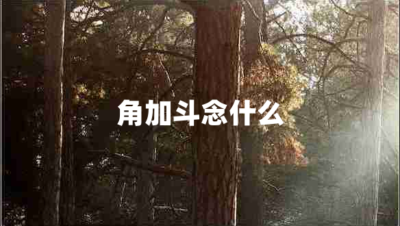 角加斗念什么