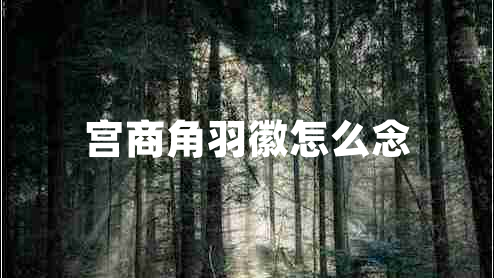 宮商角羽徽怎么念