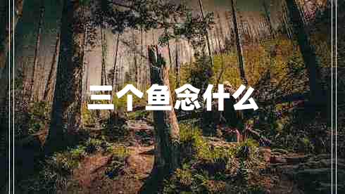 三個(gè)魚念什么