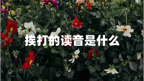 挨打的讀音是什么