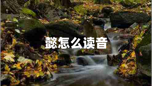 懿怎么讀音 懿怎么讀音