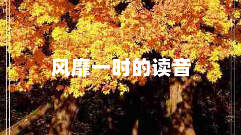 風(fēng)靡一時的讀音