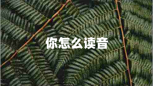 你怎么讀音