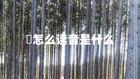 燊怎么讀音是什么